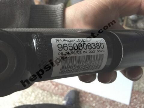 Arka Amortisör C2 C31