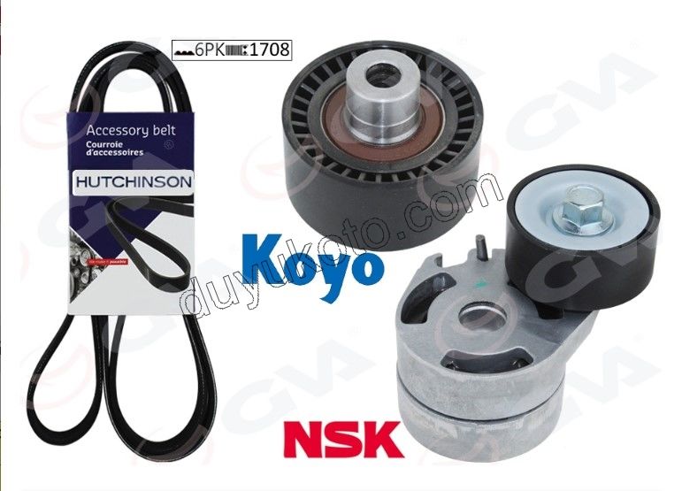 Alternatör V Kayış Kiti (Gergi Kütüklü) 1.4HDİ/1.6HDİ Euro4