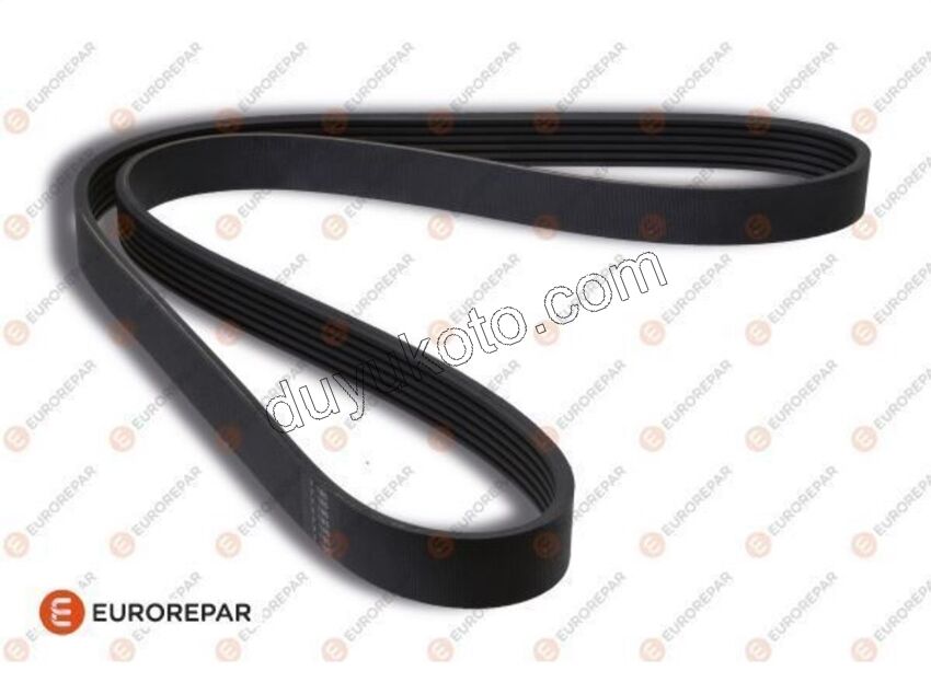 KAYIS ALTER 6PK1695