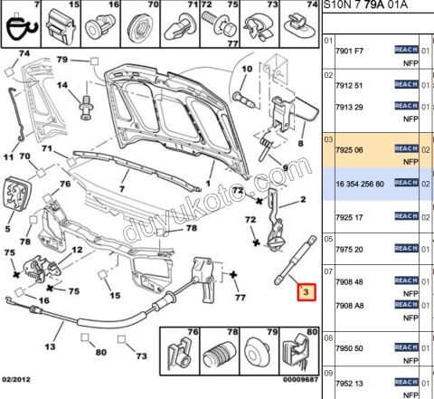 Motor Kaput Amortisör P106