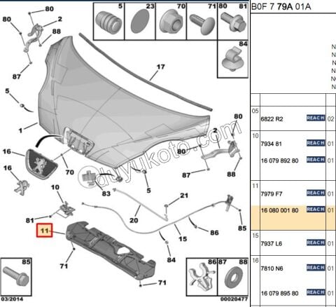 Motor Kaput İzolatörü P1071MQ C11MQ