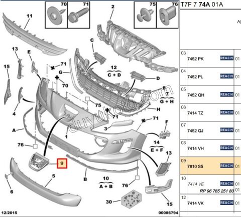 ARMA ASLAN AMBLEM P3081