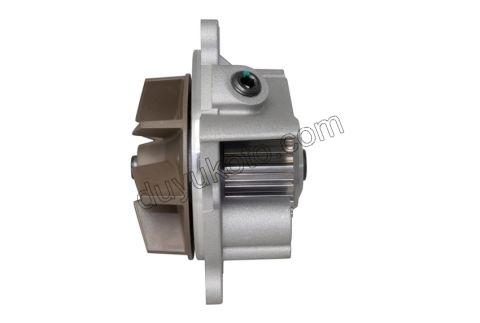Devirdaim Su Pompası DW10F DW12R