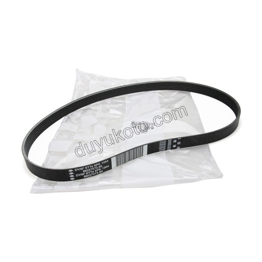 KAYIS ALTER 6PK1004 1.6HDİ Euro6 KIT