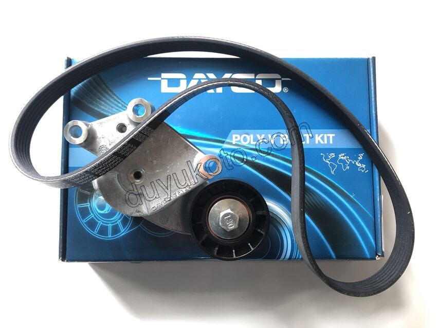 Alternatör V Kayış Kiti (Gergi Kütüklü) 1.6HDİ Euro5 P301 P3081