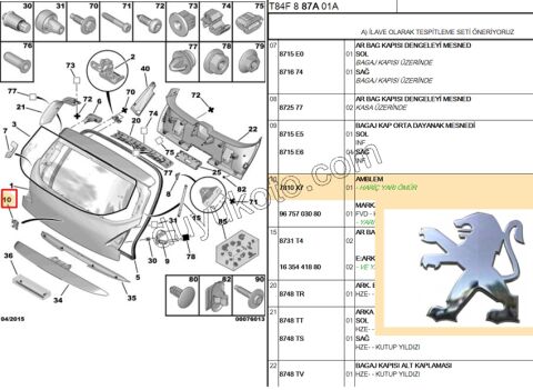 ARMA ASLAN BAGAJ P30081