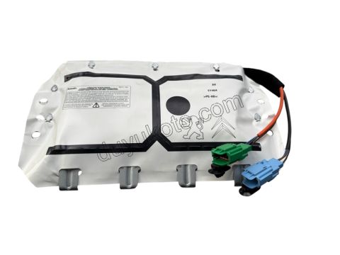 Yolcu Tarafı Hava Yastığı (AIRBAG) P207