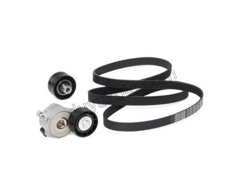 Alternatör V Kayış Kiti (Gergi Kütüklü) 1.4HDİ/1.6HDİ Euro4