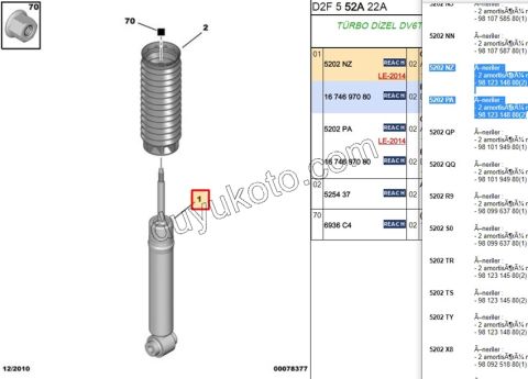Ön Amortisör P407 P5081 C53