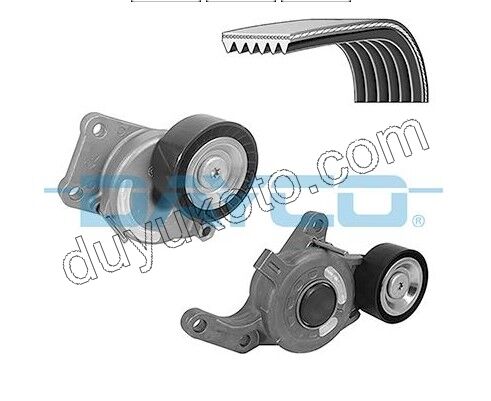 KIT KAYIS ALTER DW10F 1683121580 + 1687878180 + 9805463680