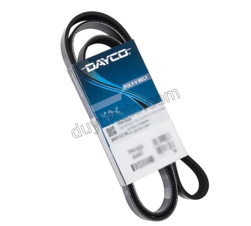 Direksiyon Pompası Kayışı 4PK0922EE BXR3 2.2