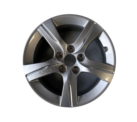 Çelik Jant P5081 STYLE 02 16 ''