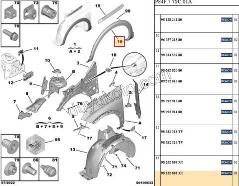 Dodik Ön Çamurluk Sağ P30082 P50082 P84E SIYAH