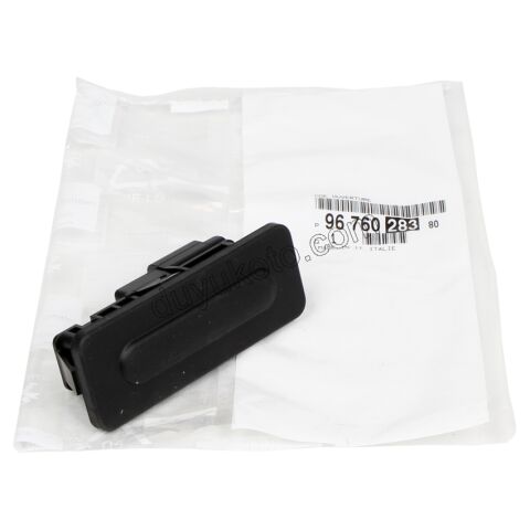 Bagaj Açma Anahtarı P2081 P308 P20081 C42