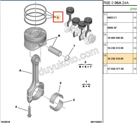SEGMAN STD