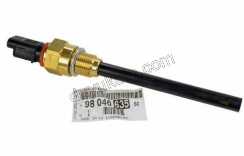 MUSUR YAG SEVIYE DW10FUE