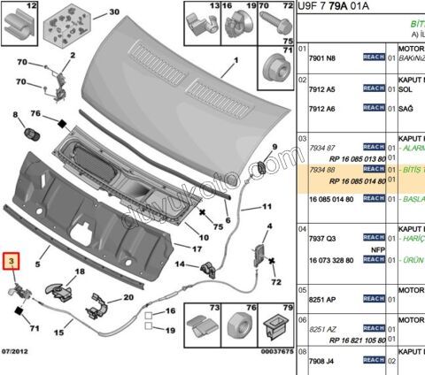 KILIT MOTOR KAPUT BXR3