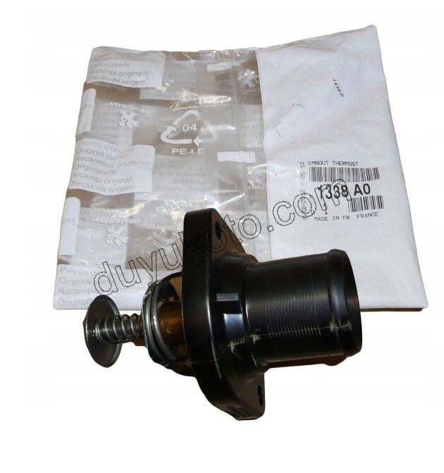 Termostat EW10J4 89 C BORULU