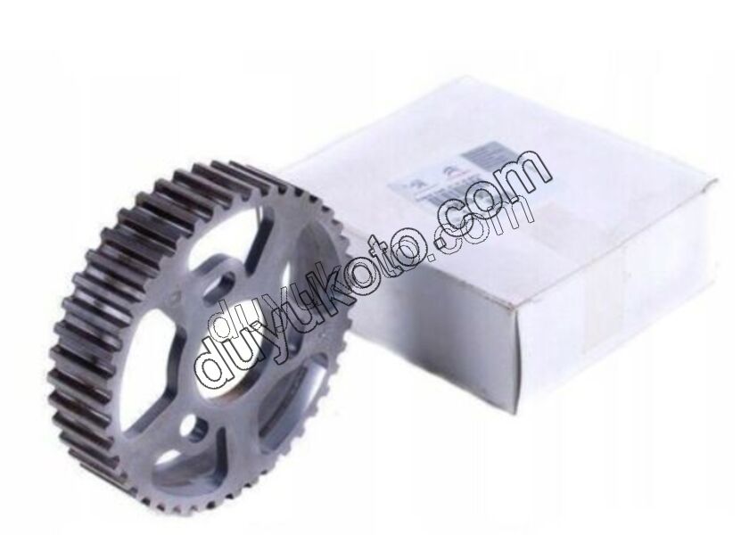 Eksantrik Mili Dişlisi 1.9D, 1998/2003 DW10 8V PRT