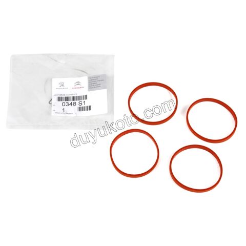 Emme Manifold Oring Conta Takımı