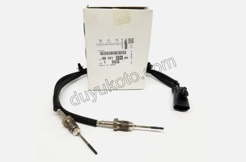 SENSOR EGZOZ GAZI SICAKLIK SONDA DW10FU 2.2HDİ 156HP Euro6.3