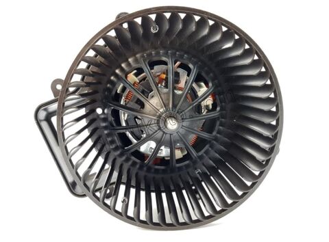 Kalorifer Motoru P30081 P50081 DS5