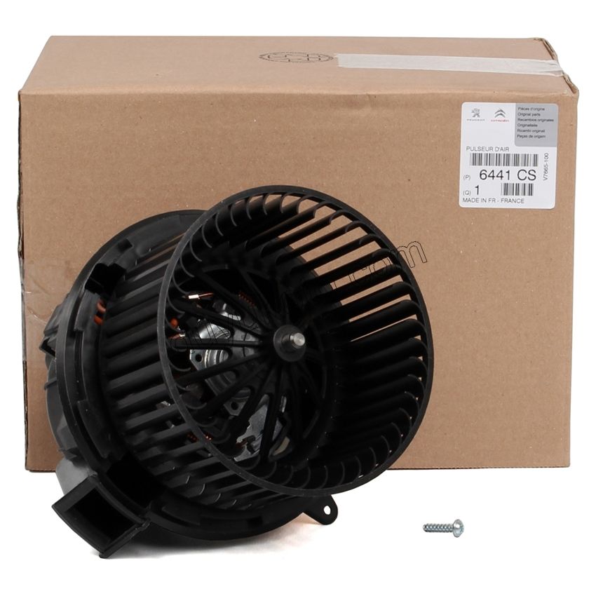 Kalorifer Motoru DS3 C33 CCT