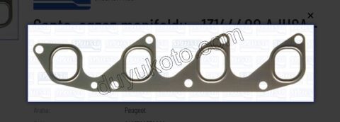 CONTA MANIFOLD EGZOZ BXR1 DJ5TED
