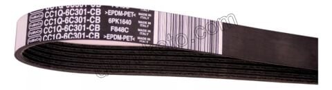 KAYIS ALTER 6PK1640 Klimalı BXR3 KIT