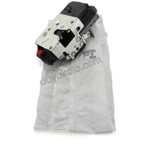 KILIT KAPI ARKA IC L P206 YM