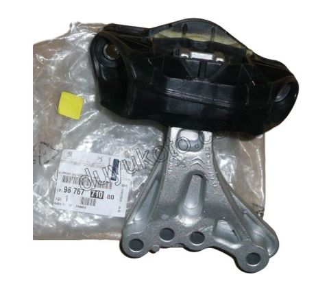 TAKOZ MOTOR R P2081 1.0CC P301 EB2M