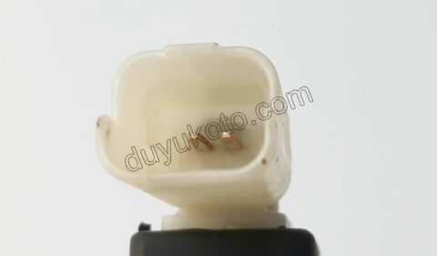 BUTON BAGAJ ACMA P5081