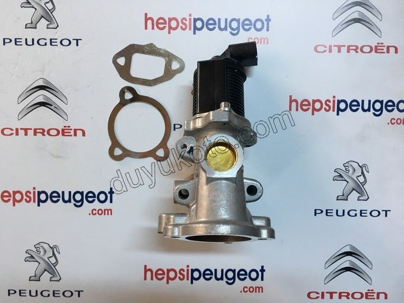 EGR Elektrovana 1.3JTD5 EURO5 90HP