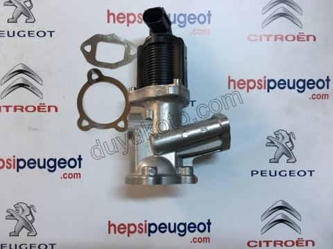 EGR Elektrovana 1.3JTD5 EURO5 90HP