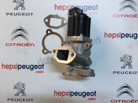 EGR Elektrovana 1.3JTD5 EURO5 90HP