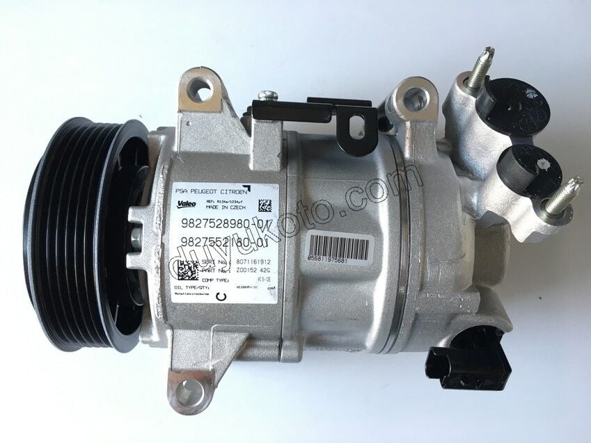 Klima Kompresörü P30082 P50082 P5082