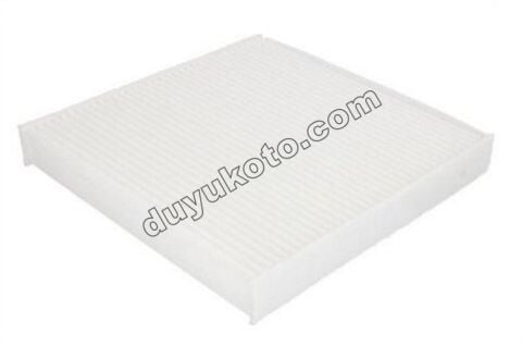 Peugeot Partner Citroen Berlingo Polen Filtresi XS2