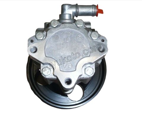 Direksiyon Pompası BXR3MQ DW12R