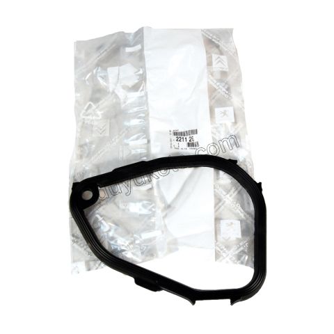 CONTA SANZUMAN ARKA KAPAK LAST MA SANZ