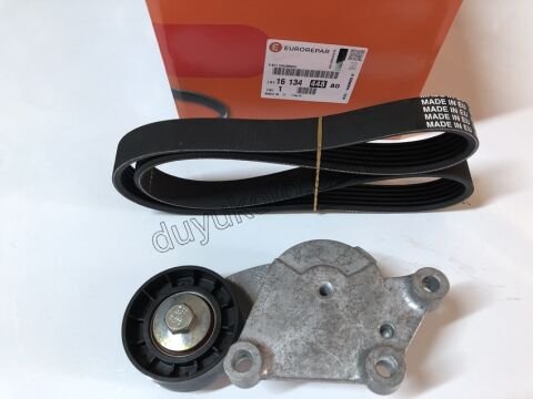 KIT KAYIS ALTER 1.6HDİ Euro4