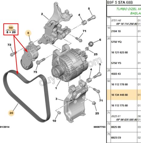 KIT KAYIS ALTER 1.6HDİ Euro4
