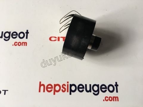 Tek Alternatör Gergi Rulmanı Düz 1.4HDİ/1.6HDİ Euro4