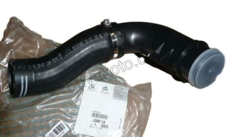 Turbo Hortumu Radyatör Alt Sağ BXR3 DCT3