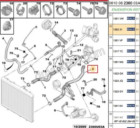 Radyatör ile Termostat Arası Hortum C53 1.6THP 156HP