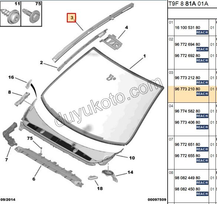 CITA ON CAM YAN R P3082