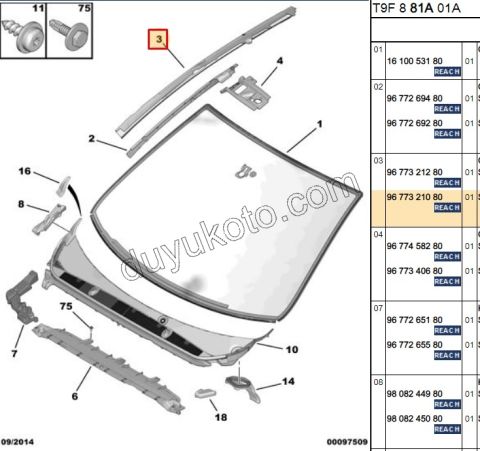 CITA ON CAM YAN R P3082
