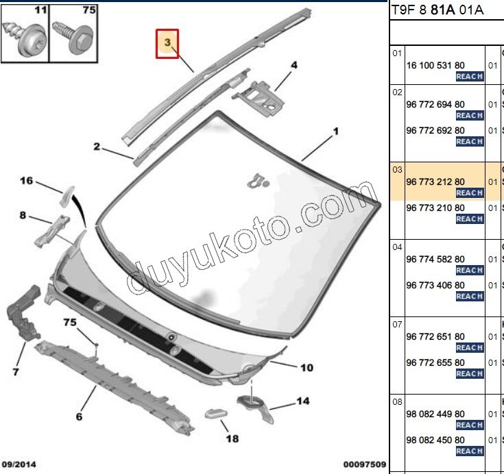 CITA ON CAM YAN L P3082