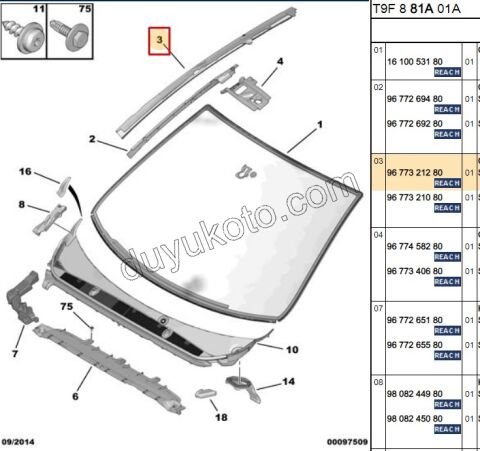 CITA ON CAM YAN L P3082