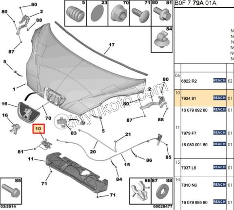 KILIT MOTOR KAPUT P1071 C11