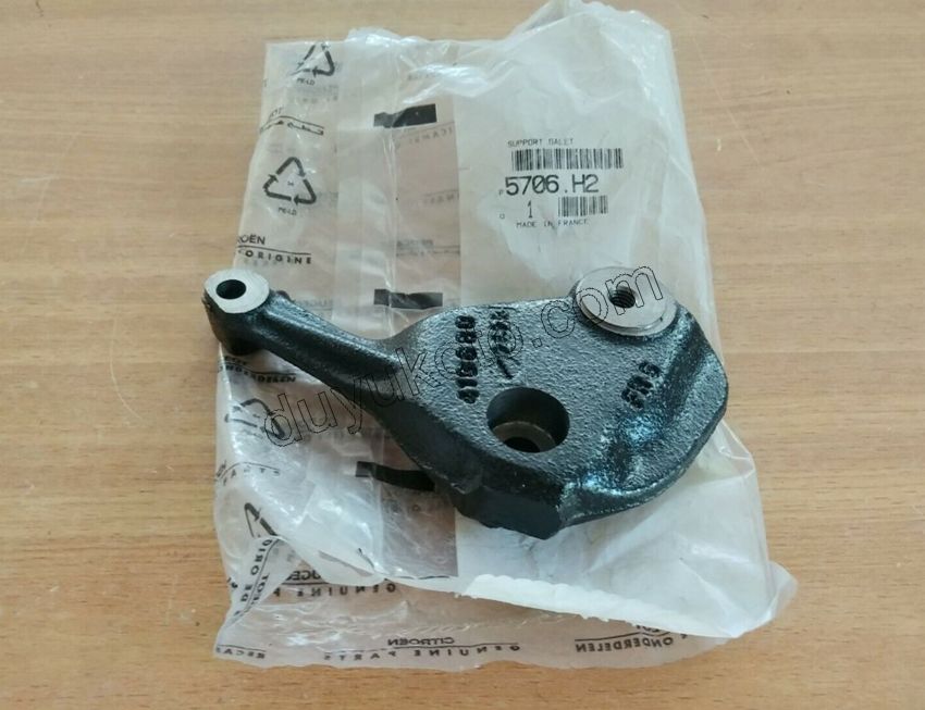 Alternatör Kayış Gergi Ayağı RULMAN P307 ET3 TU5